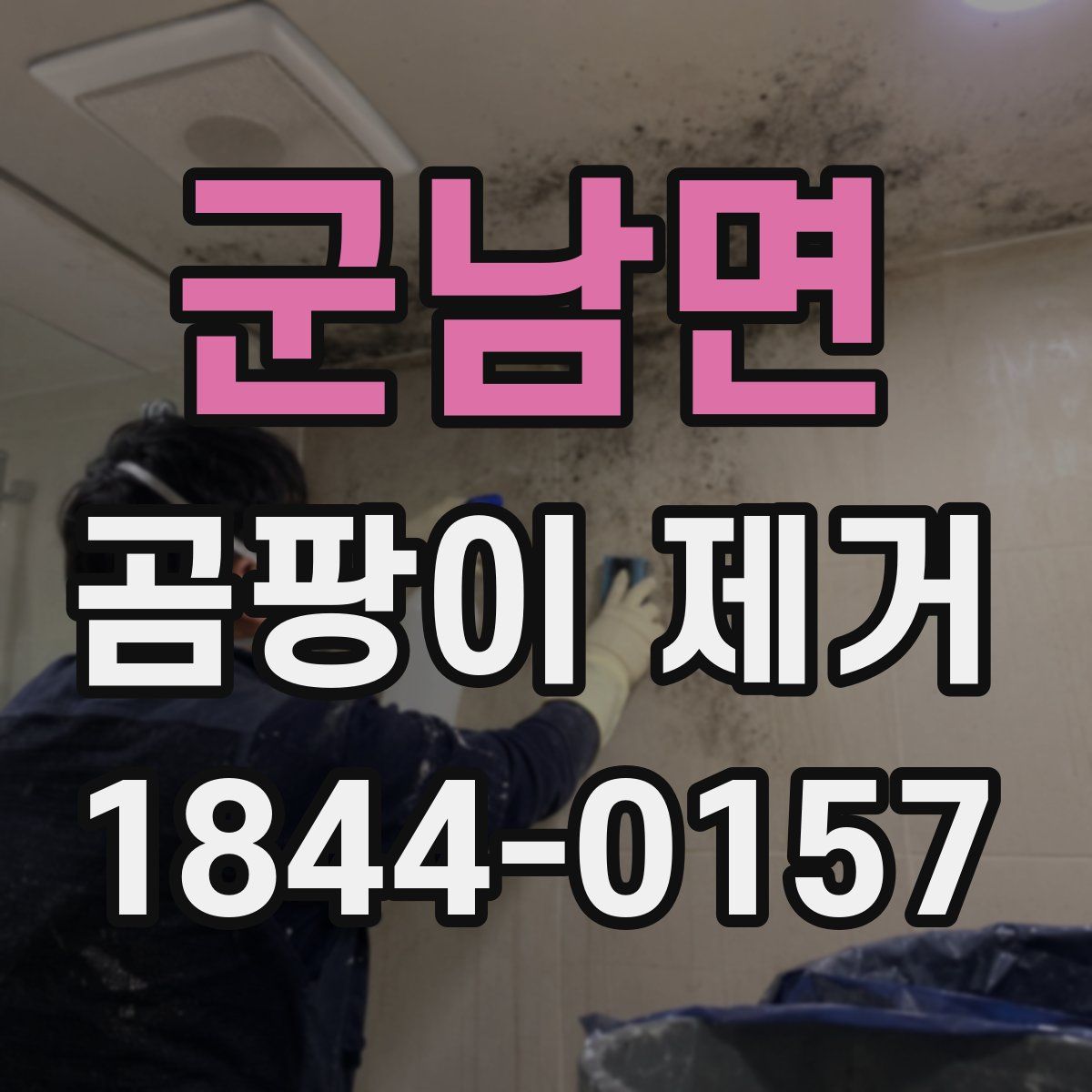 군남면 곰팡이 제거