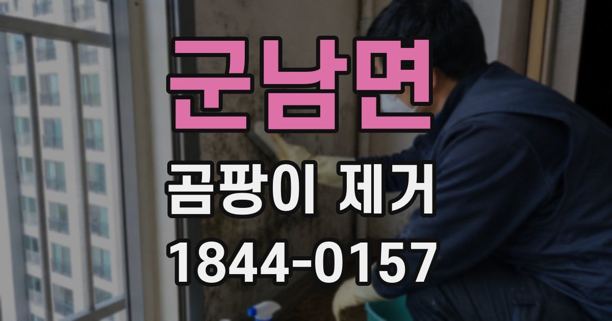 군남면 곰팡이 제거