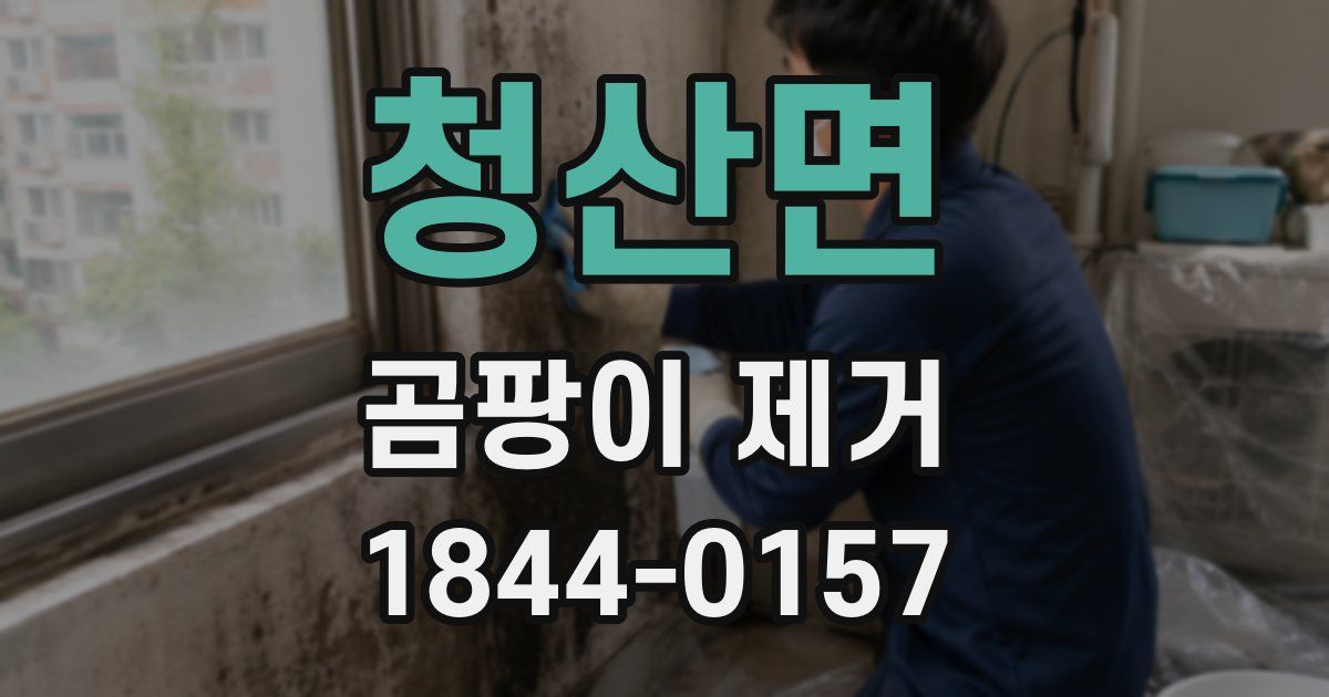 청산면 곰팡이 제거