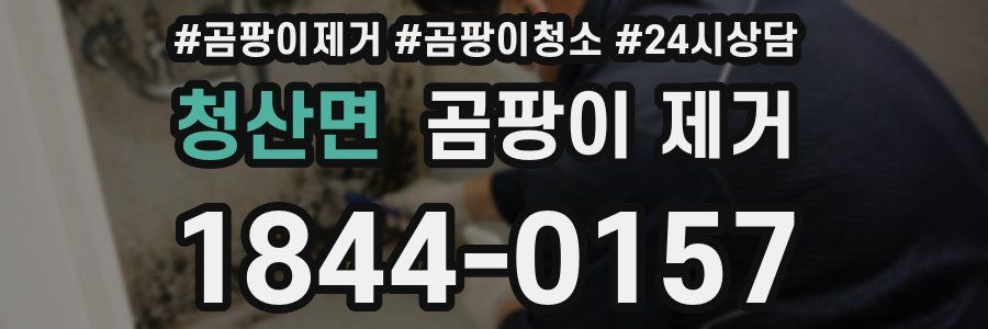 청산면 곰팡이 제거