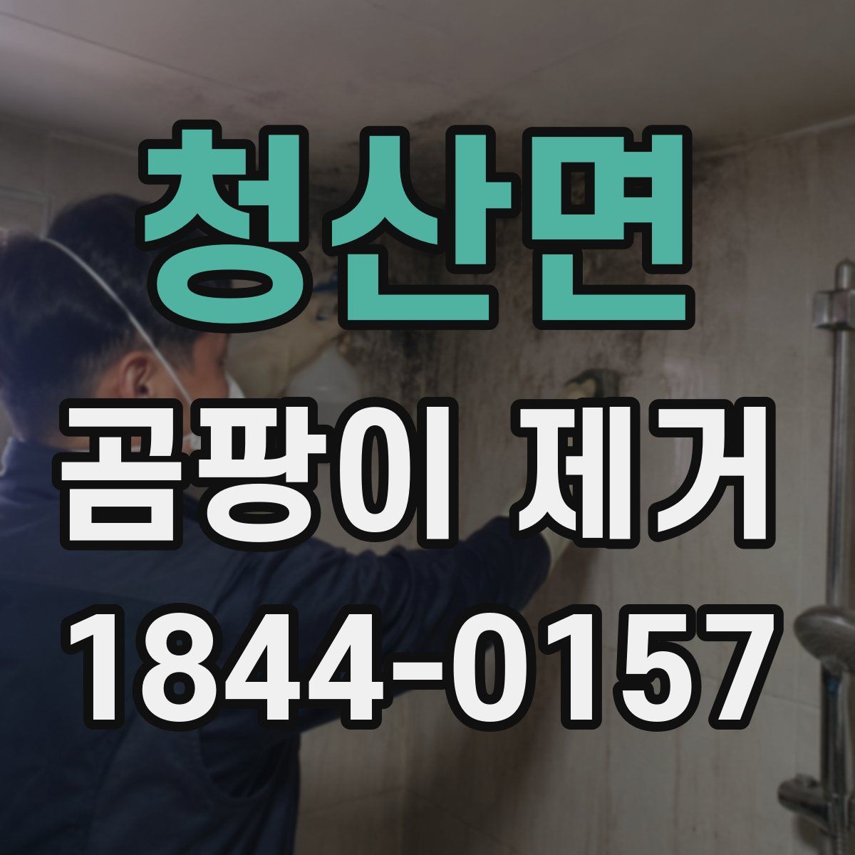 청산면 곰팡이 제거