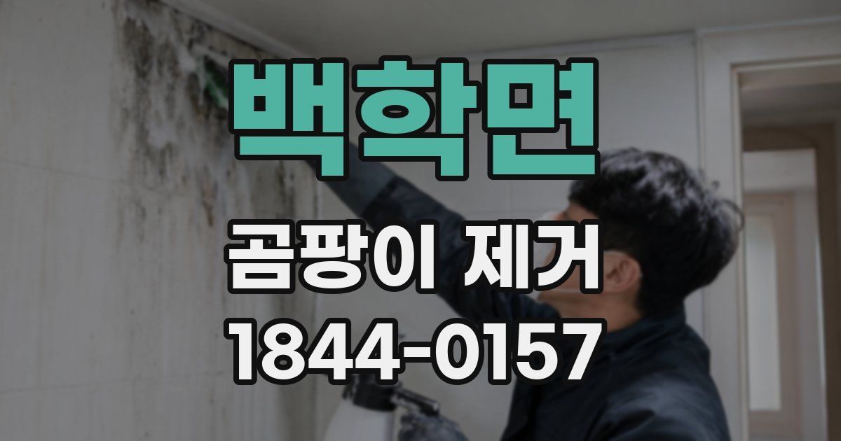 백학면 곰팡이 제거