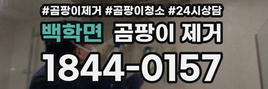 백학면 곰팡이 제거