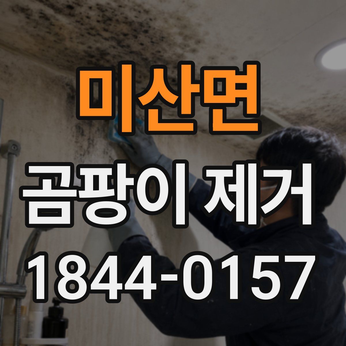미산면 곰팡이 제거