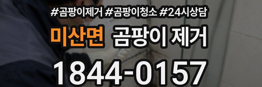 미산면 곰팡이 제거