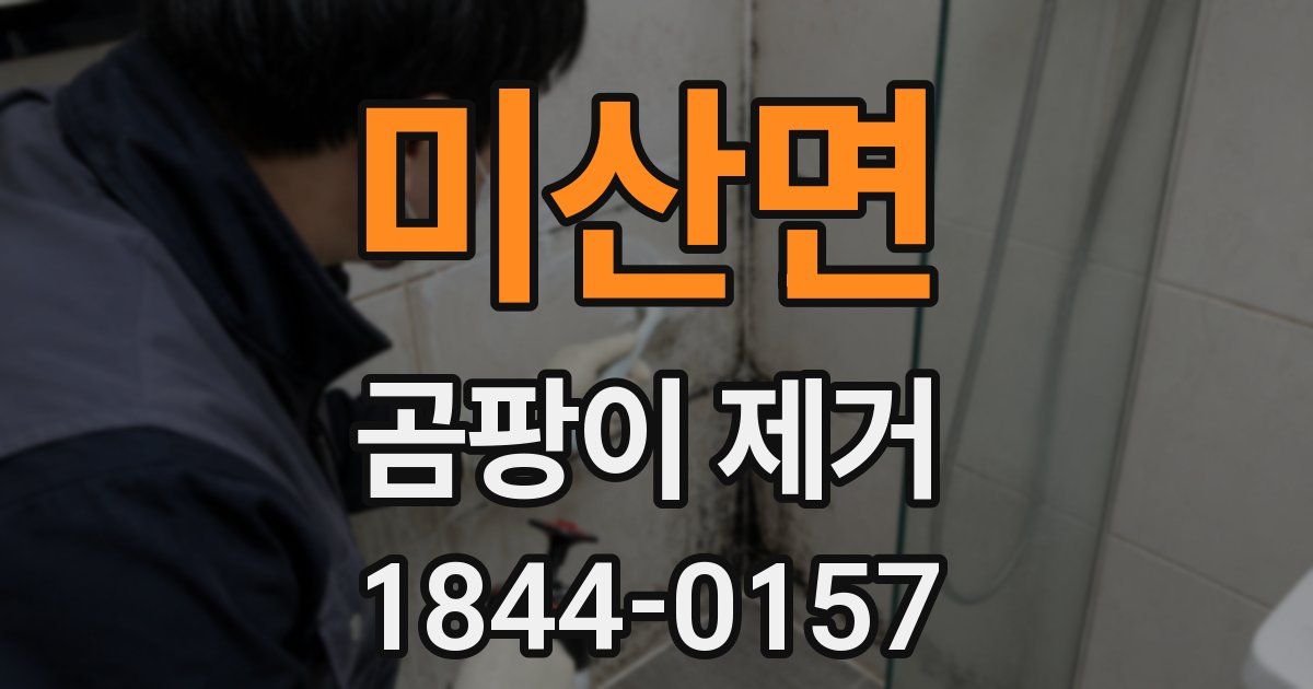 미산면 곰팡이 제거