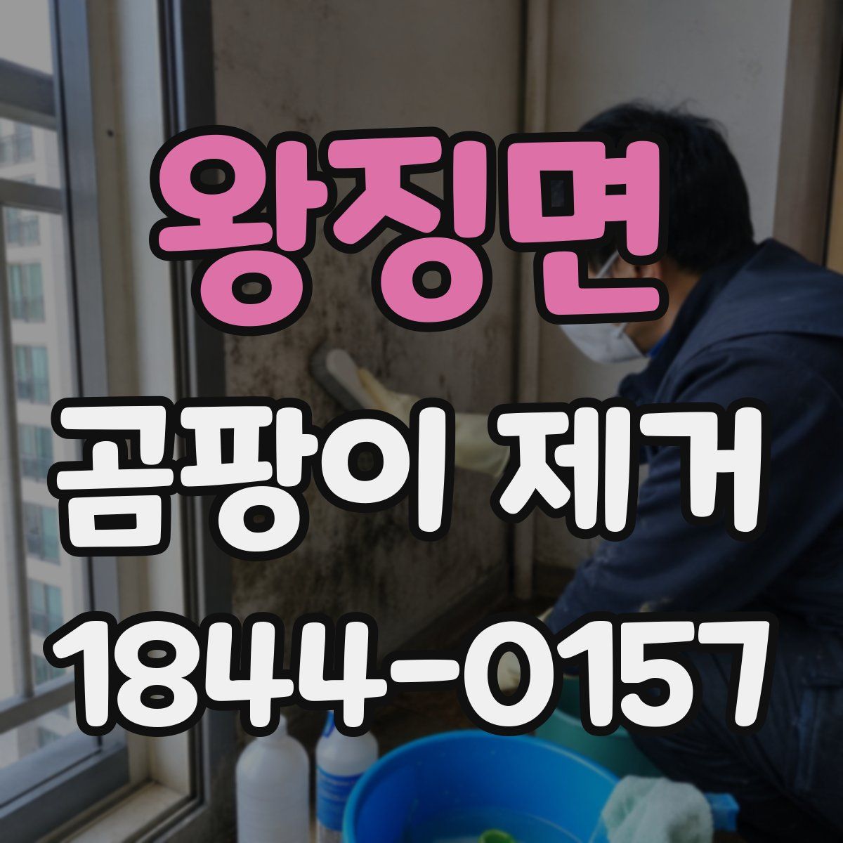 왕징면 곰팡이 제거