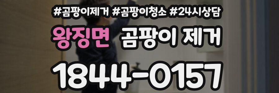왕징면 곰팡이 제거