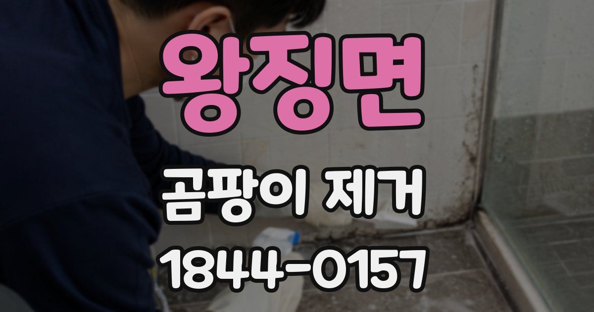 왕징면 곰팡이 제거