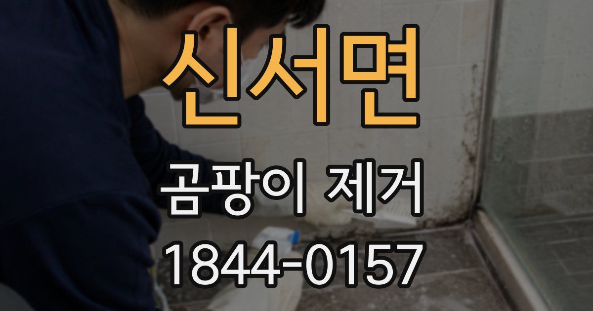 신서면 곰팡이 제거