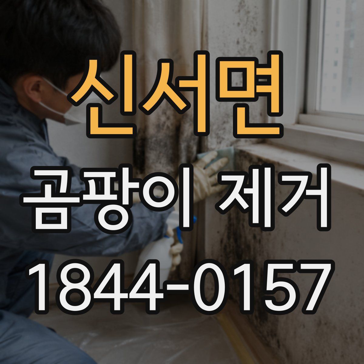 신서면 곰팡이 제거