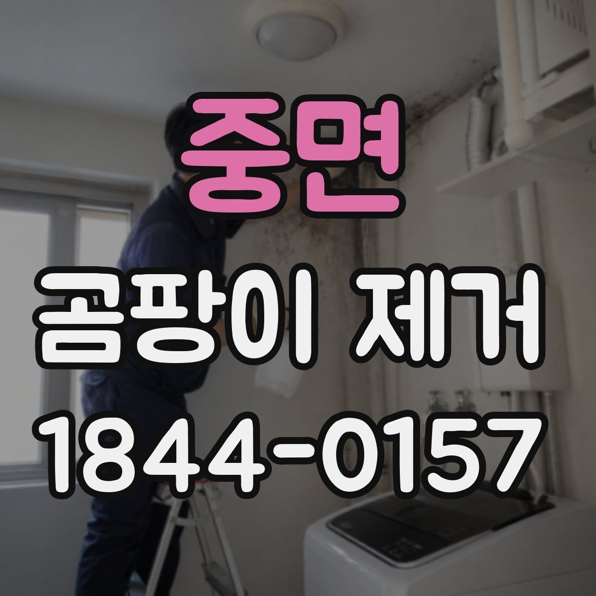 중면 곰팡이 제거 집수리 전 누수 흔적을 확인하는 법