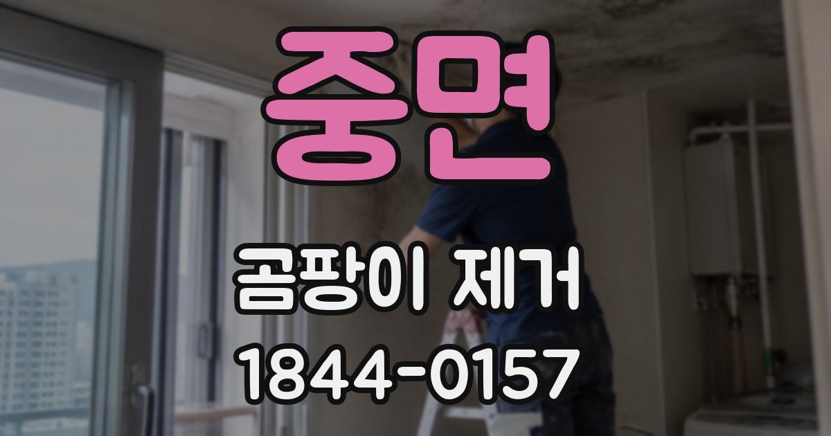 중면 곰팡이 제거