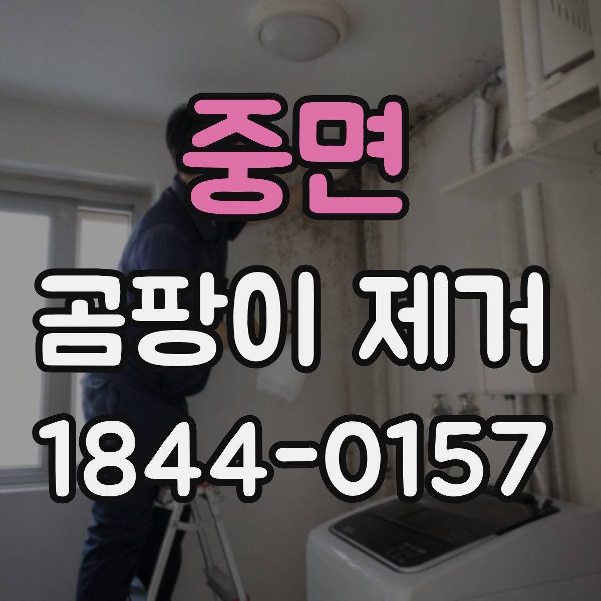 중면 곰팡이 제거