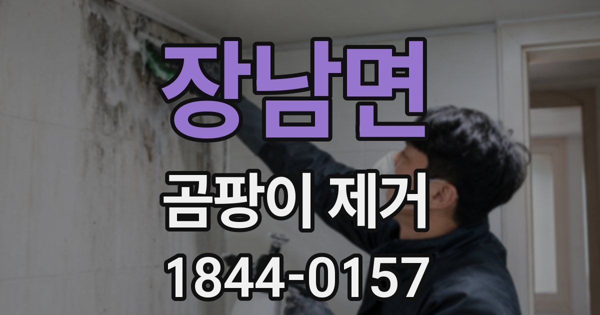 장남면 곰팡이 제거