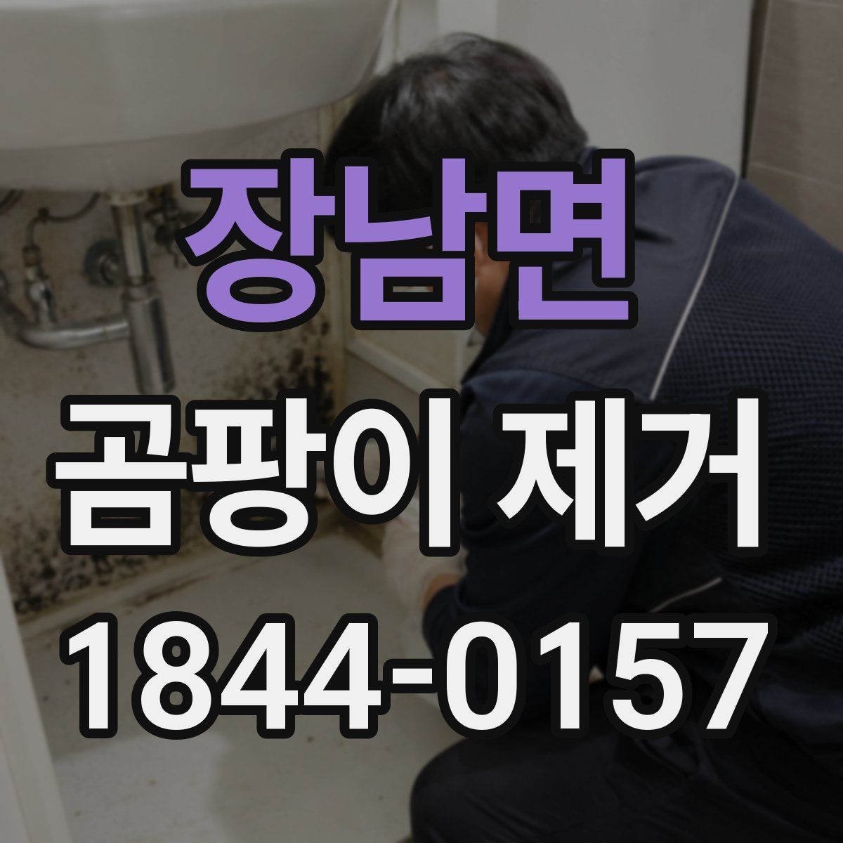 장남면 곰팡이 제거