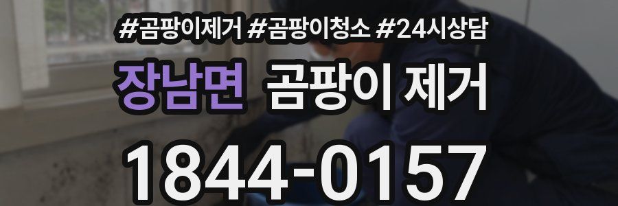 장남면 곰팡이 제거