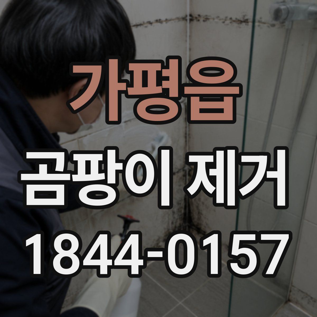 가평읍 곰팡이 제거