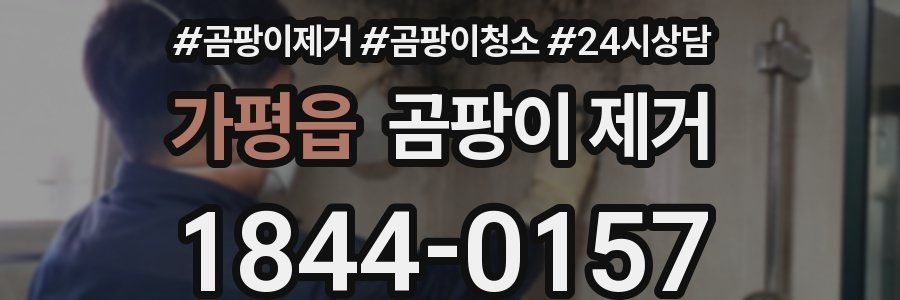 가평읍 곰팡이 제거