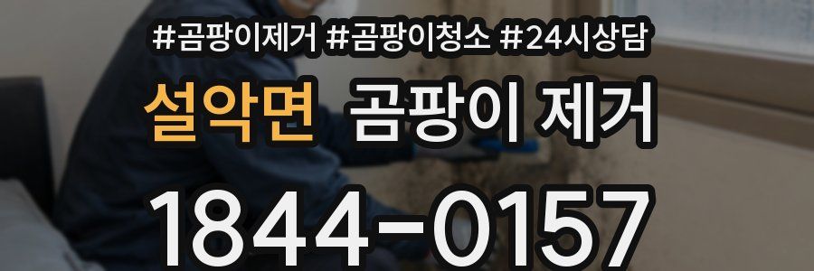 설악면 곰팡이 제거