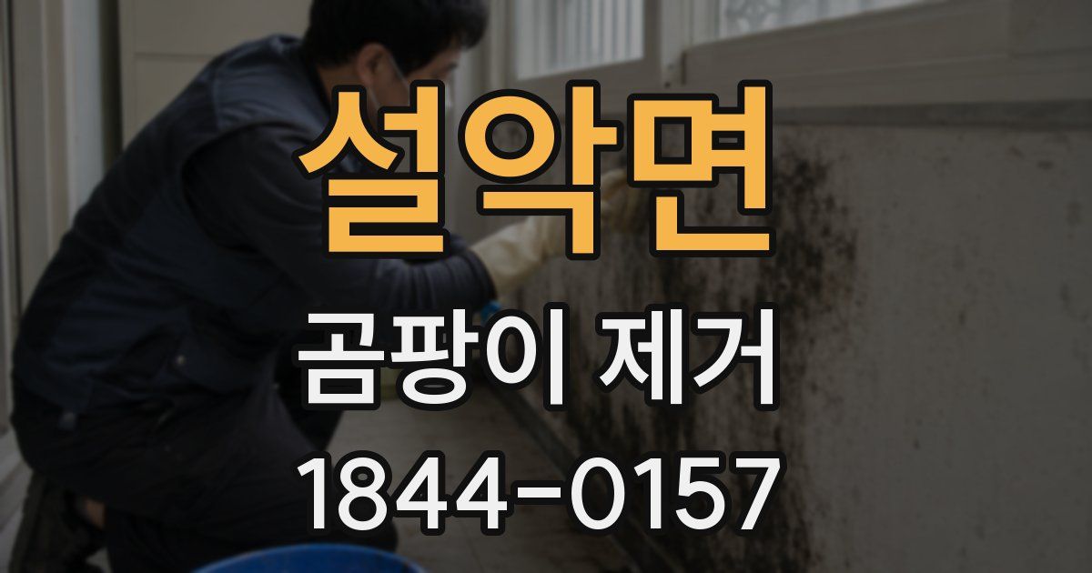 설악면 곰팡이 제거