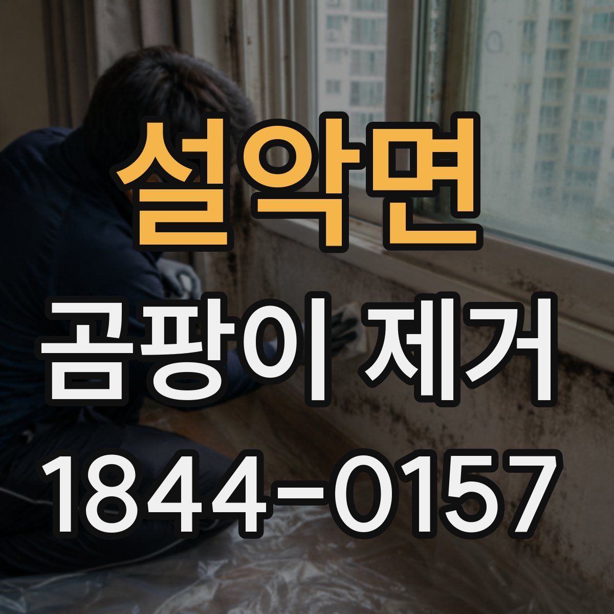 설악면 곰팡이 제거