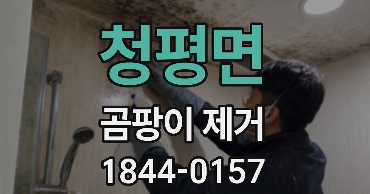 청평면 곰팡이 제거