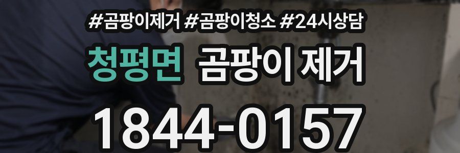 청평면 곰팡이 제거