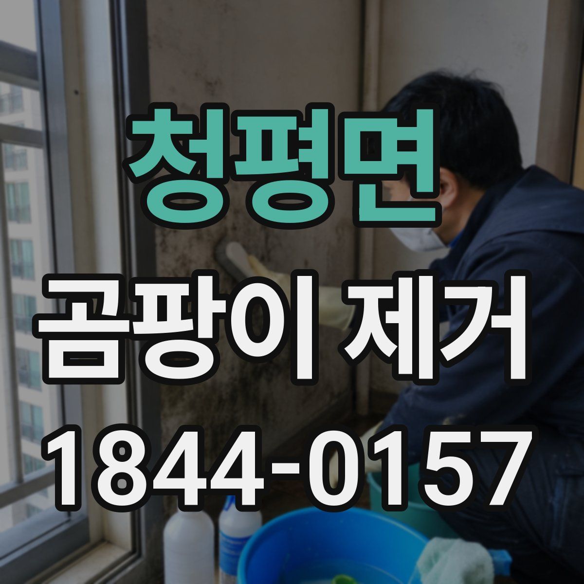청평면 곰팡이 제거