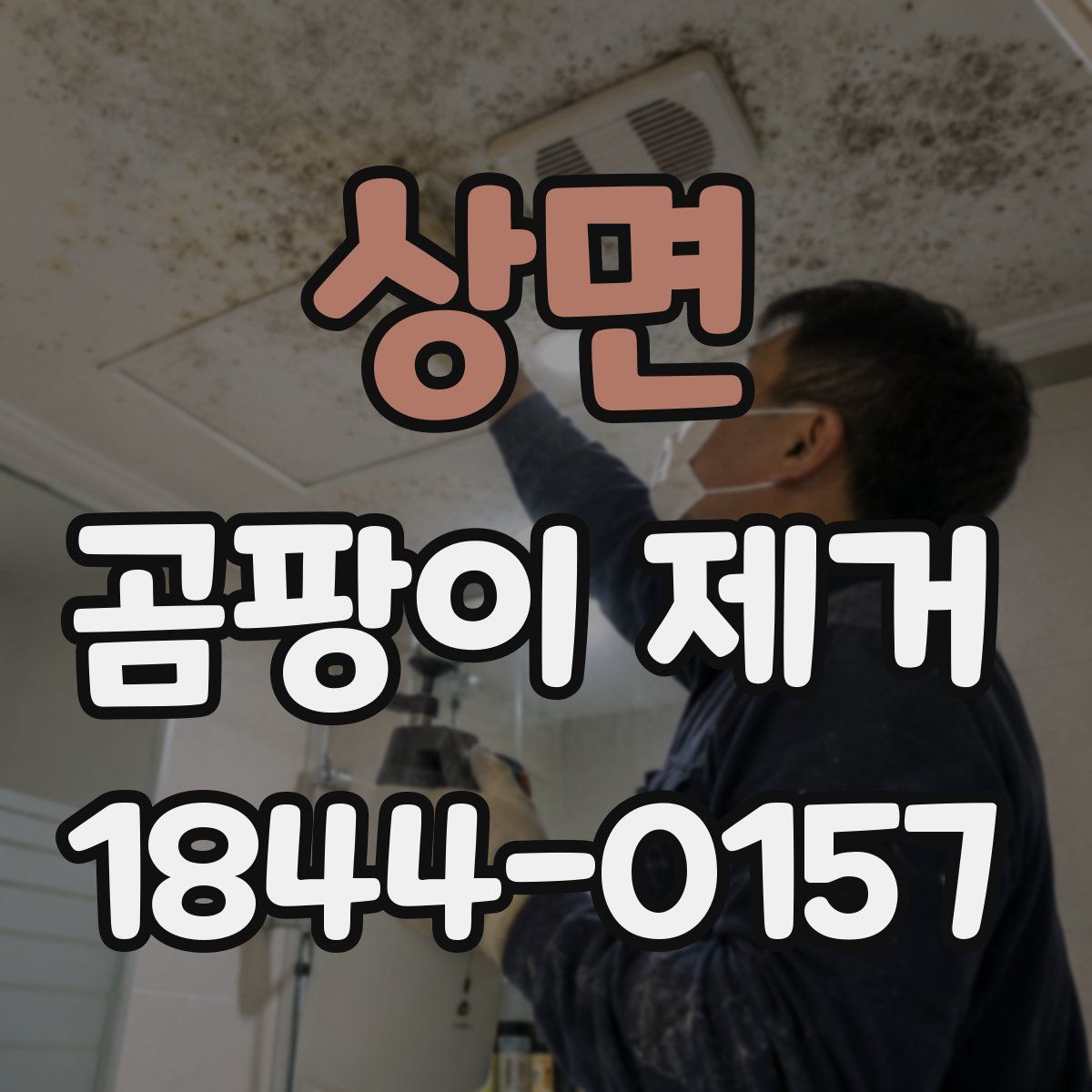 상면 곰팡이 제거