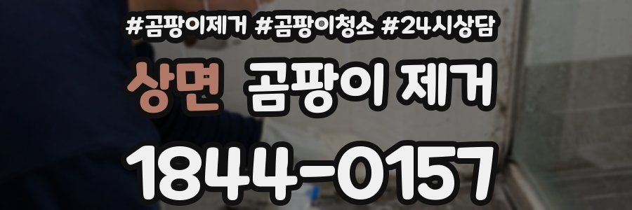 상면 곰팡이 제거