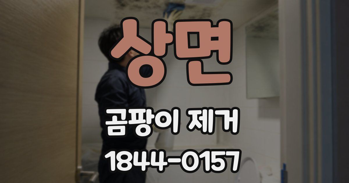 상면 곰팡이 제거