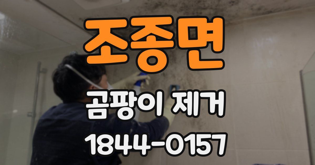 조종면 곰팡이 제거