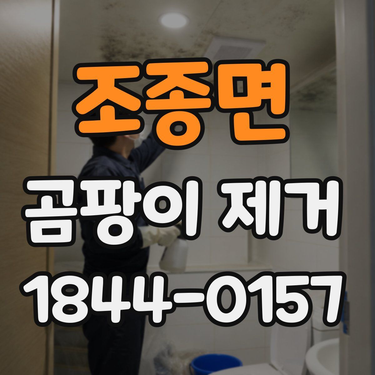조종면 곰팡이 제거