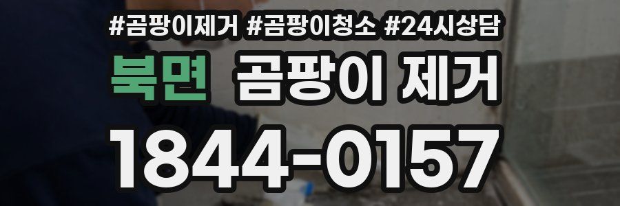 북면 곰팡이 제거