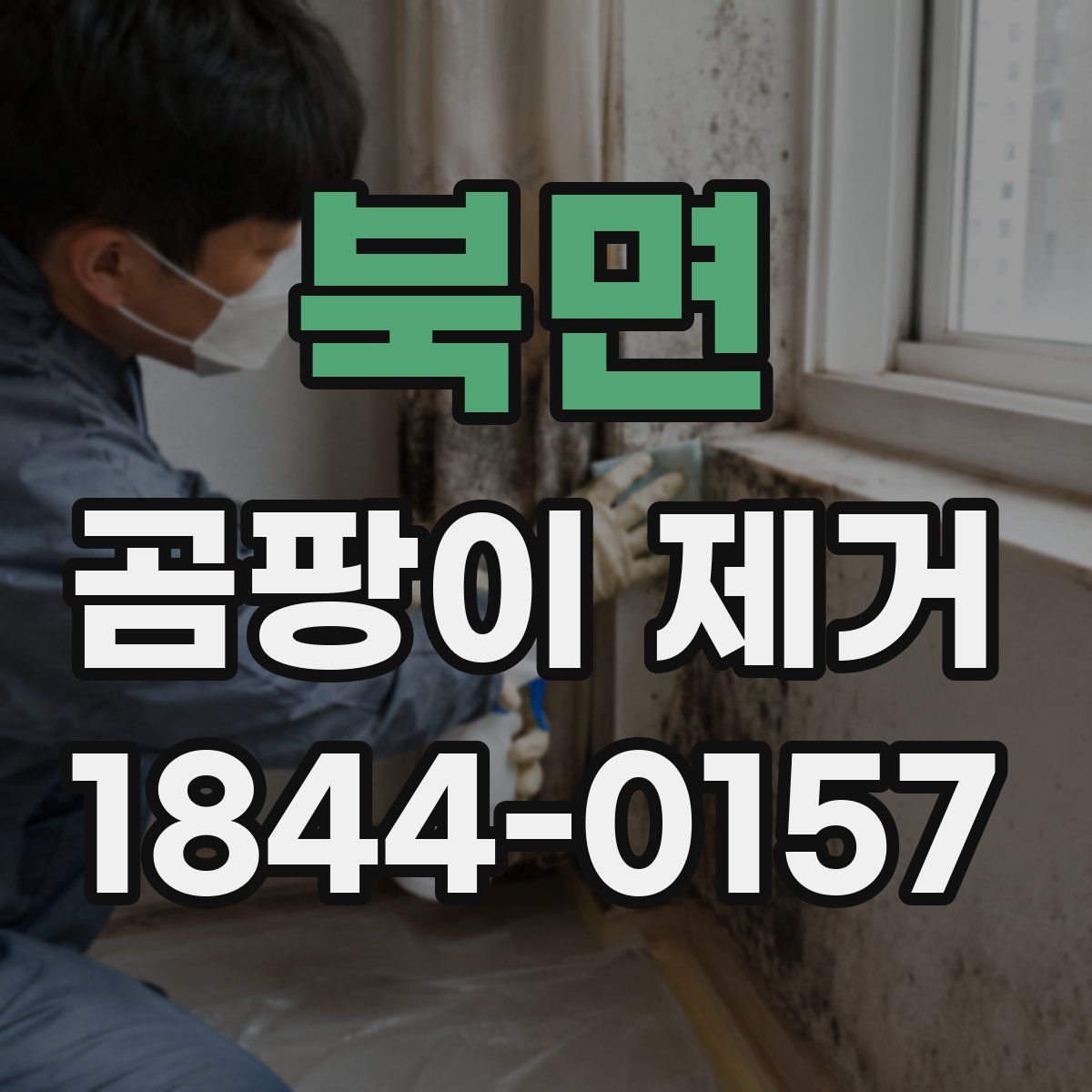 북면 곰팡이 제거
