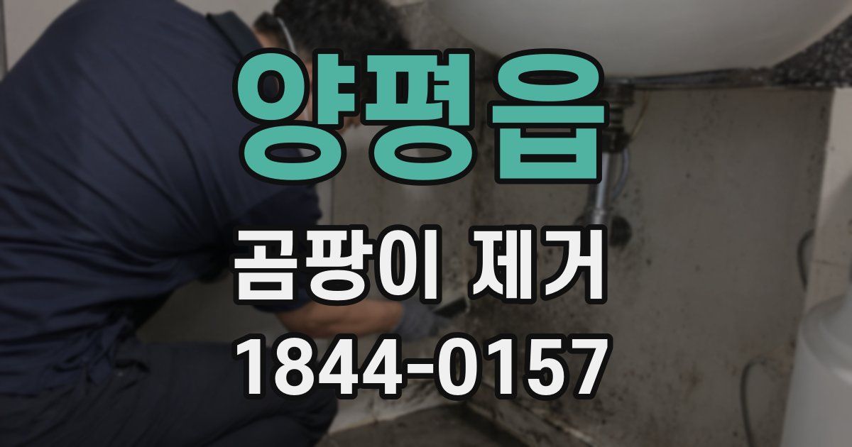 양평읍 곰팡이 제거