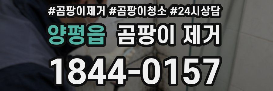 양평읍 곰팡이 제거