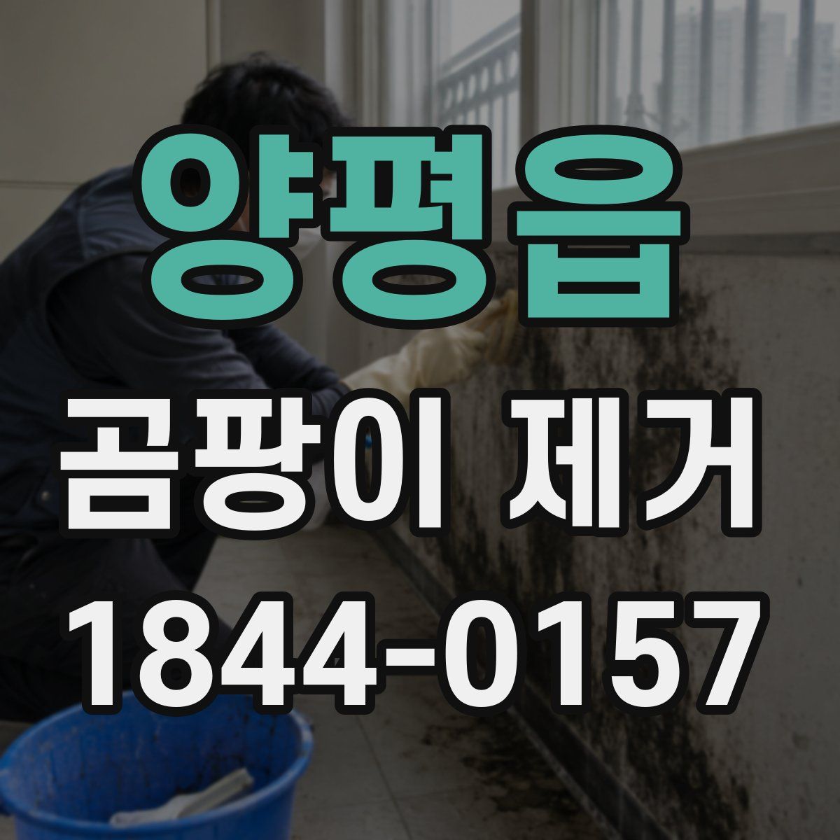 양평읍 곰팡이 제거