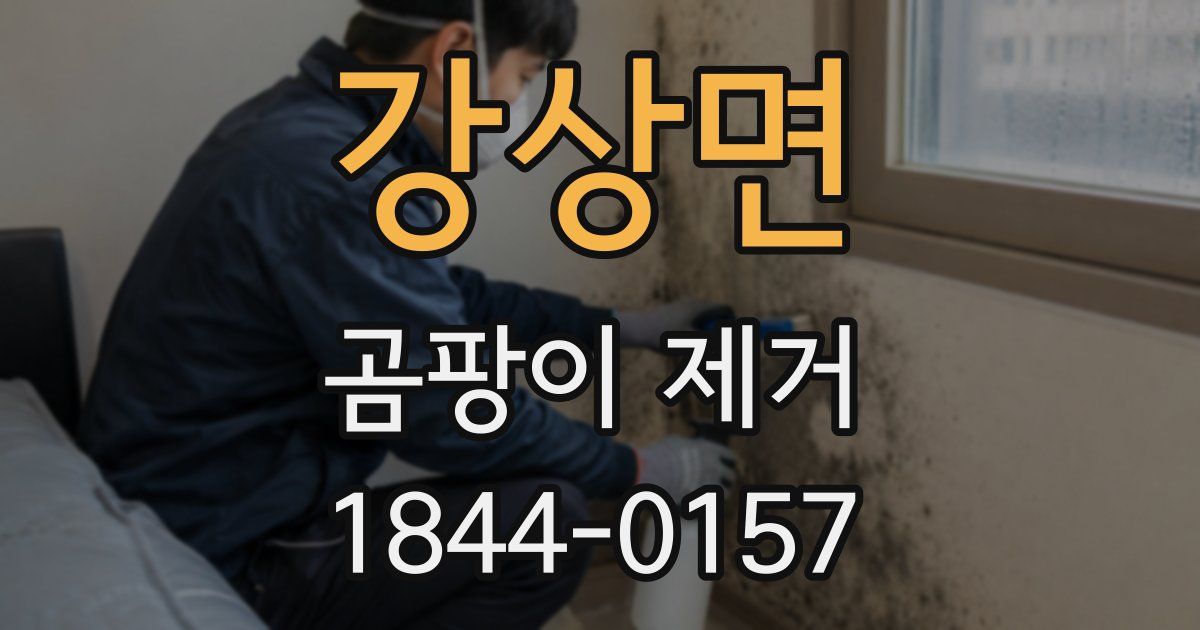 강상면 곰팡이 제거