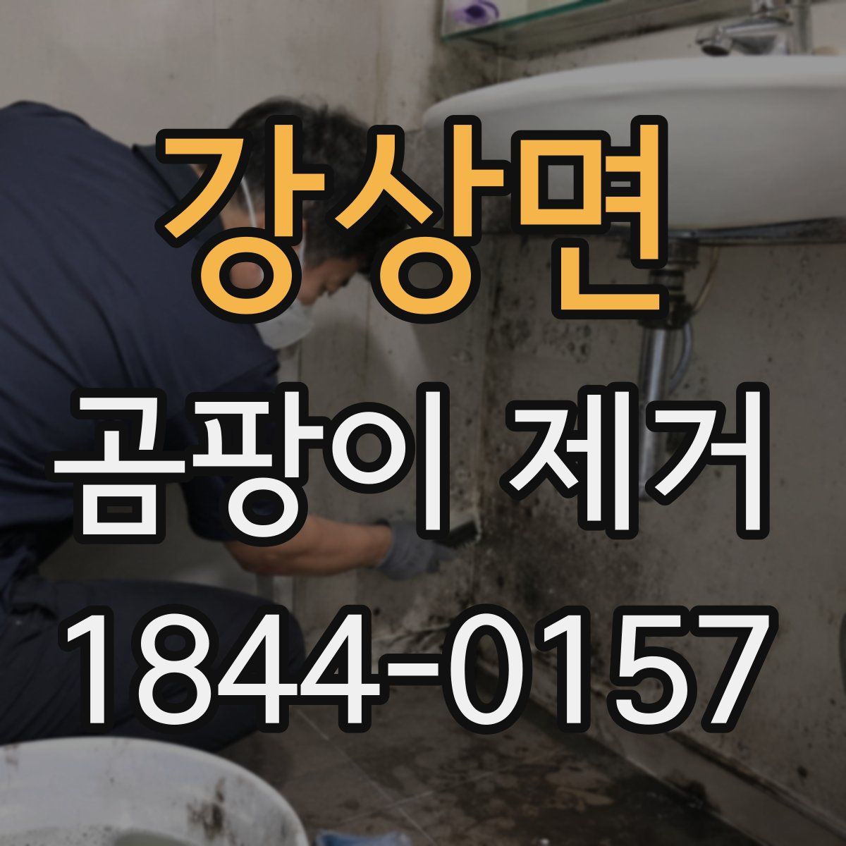 강상면 곰팡이 제거