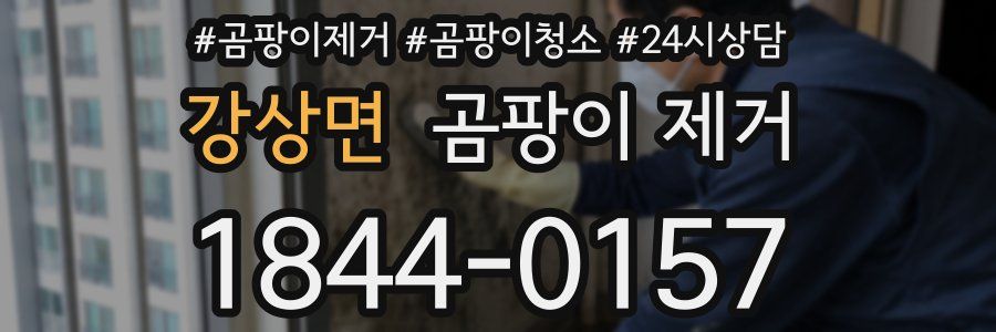 강상면 곰팡이 제거
