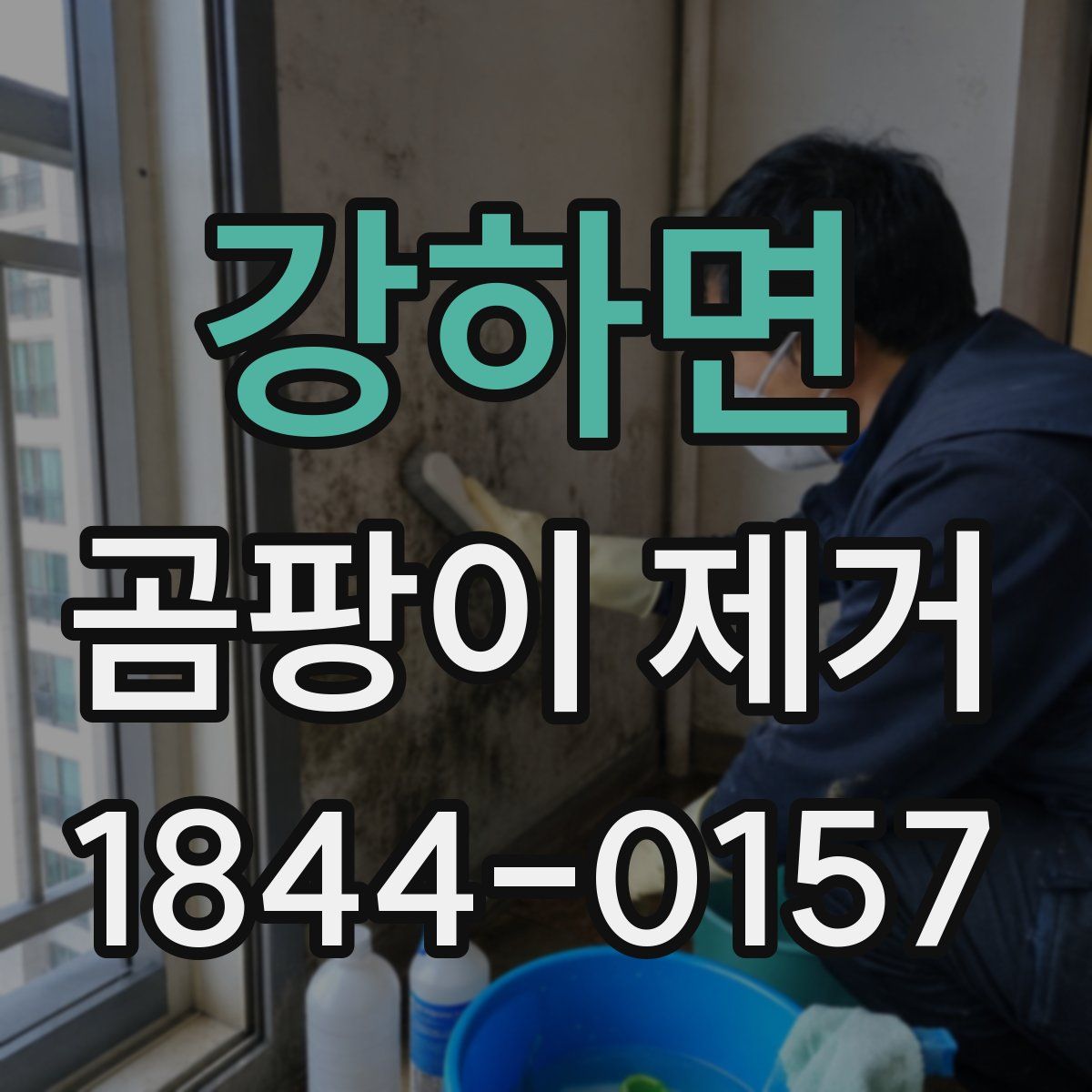강하면 곰팡이 제거