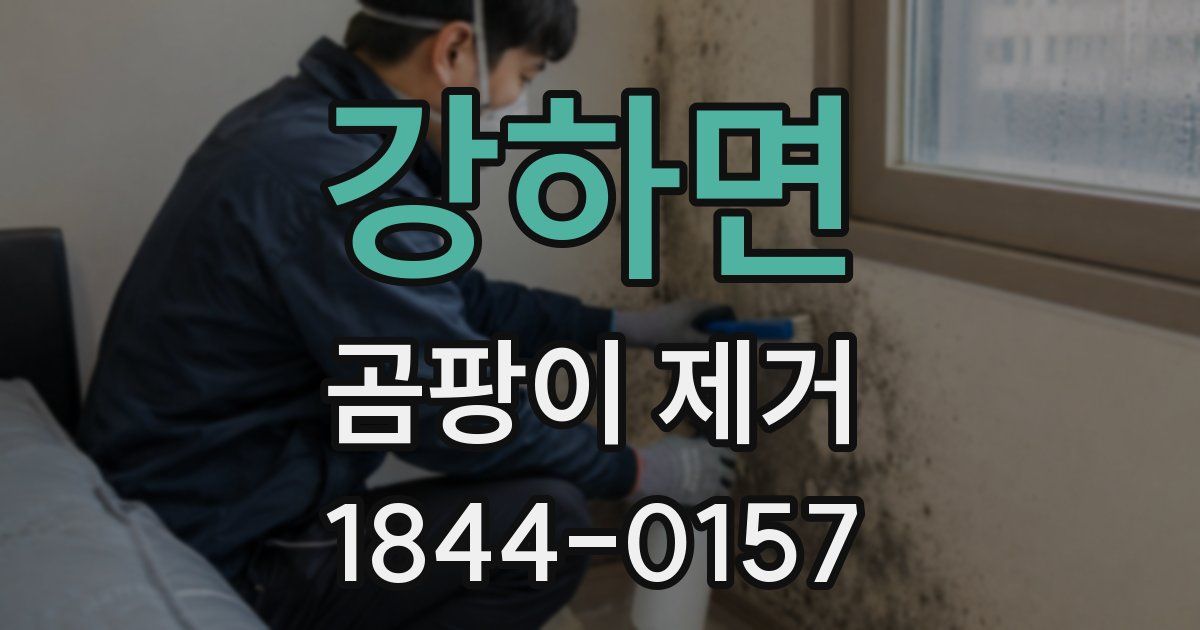 강하면 곰팡이 제거