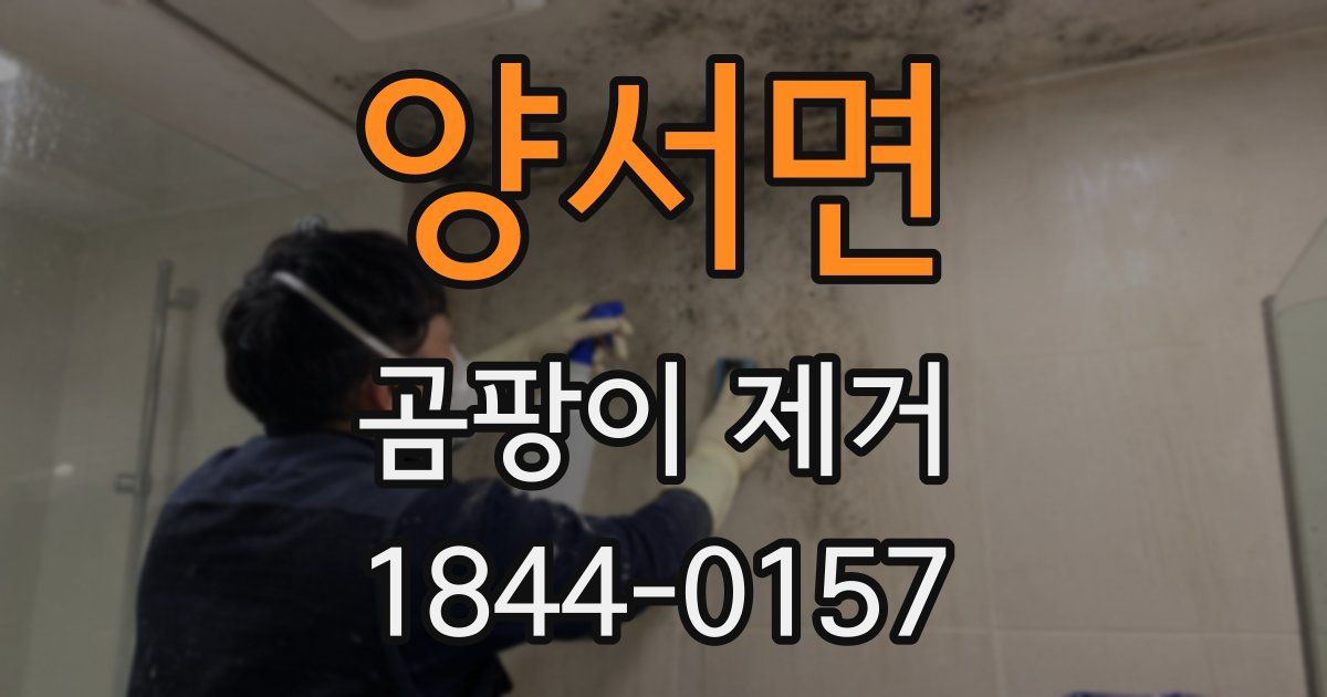 양서면 곰팡이 제거