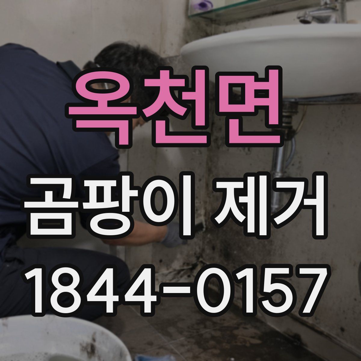옥천면 곰팡이 제거