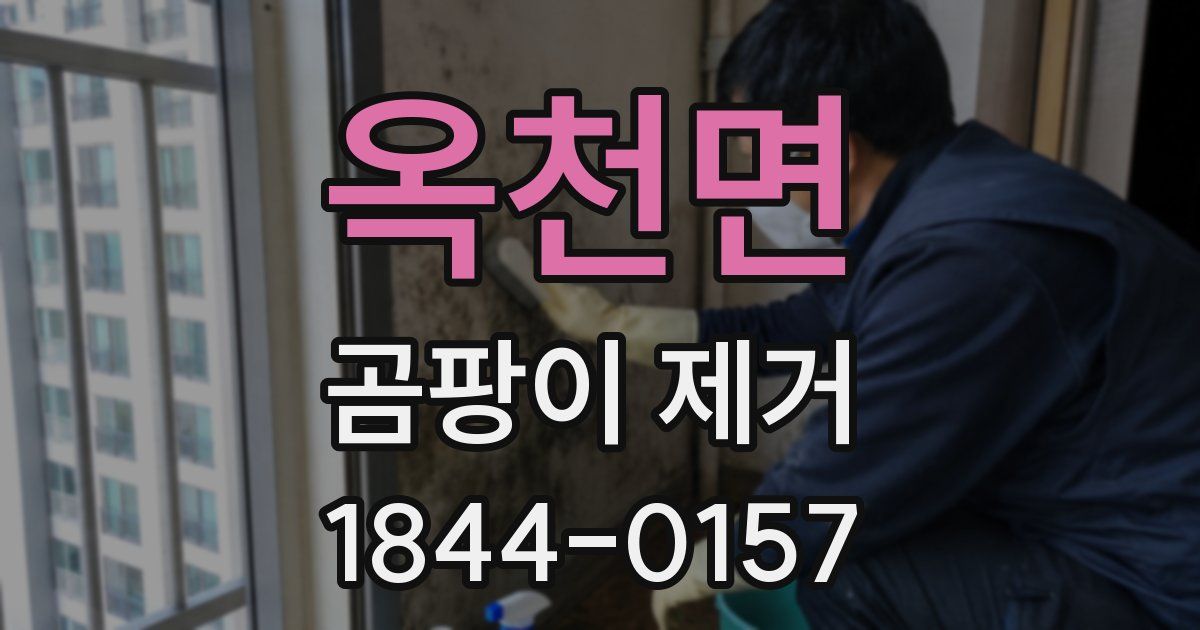 옥천면 곰팡이 제거