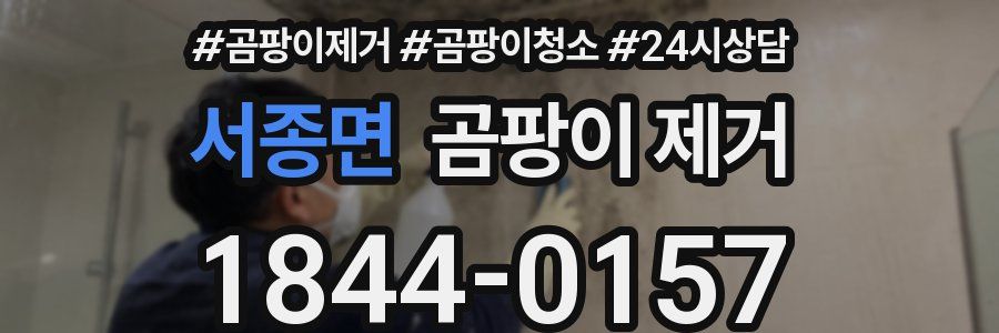 서종면 곰팡이 제거