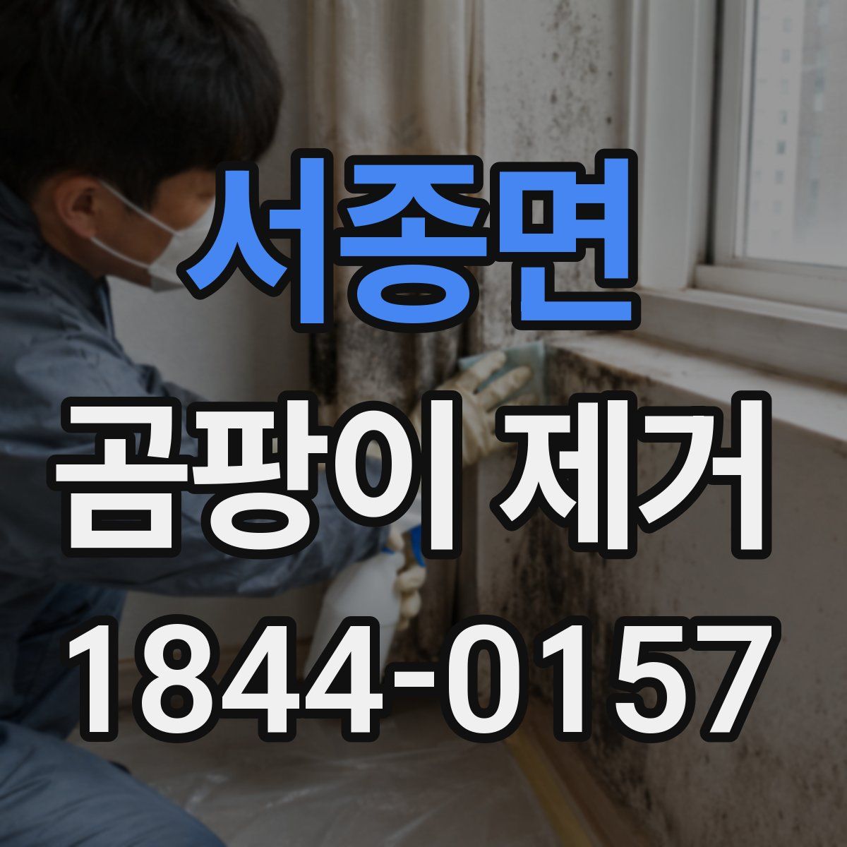 서종면 곰팡이 제거