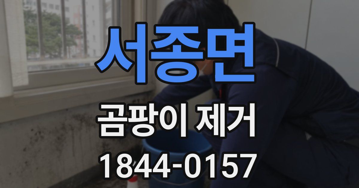 서종면 곰팡이 제거